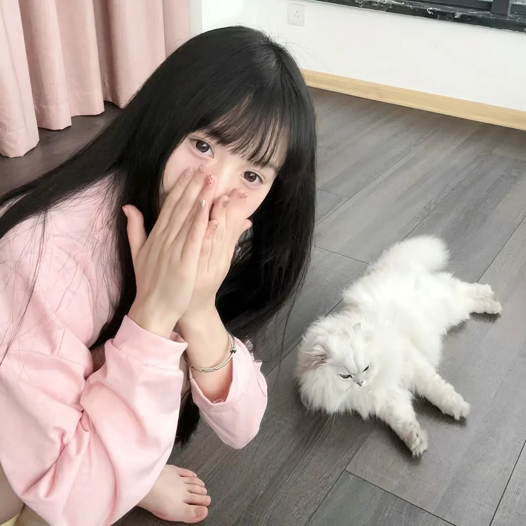 绝命毒师第四季 在线观看封面
